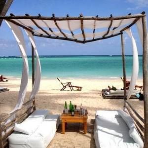 Meet your Posher, Roberta